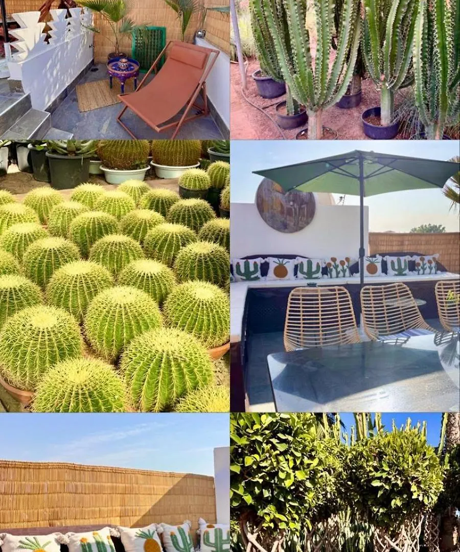 Holiday home Riad Privatise Jusqu A 10 Personnes Avec 5 Suites, Bassin Et Rooftop A Seulement 15 Minutes A Pied De La Celebre Place Jemaa El Fna Marrakesh Morocco