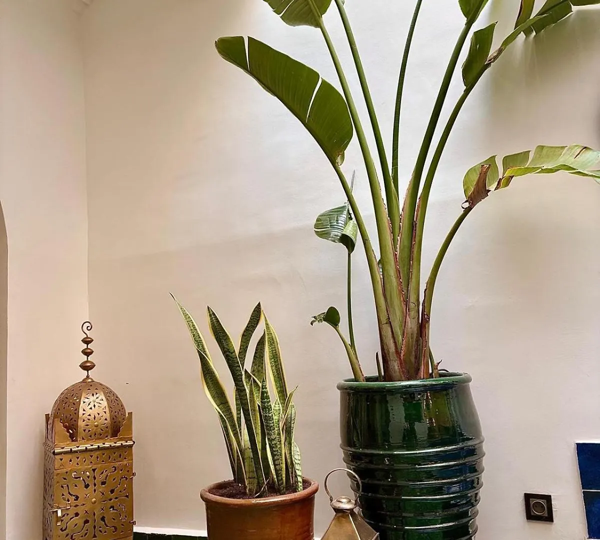 Riad Privatise Jusqu A 10 Personnes Avec 5 Suites, Bassin Et Rooftop A Seulement 15 Minutes A Pied De La Celebre Place Jemaa El Fna Marrakesh 0*,